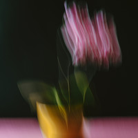 Painted by Motion