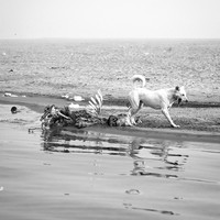 The Surface in Depth