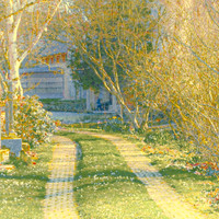 Saisons filantes