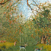 Saisons filantes