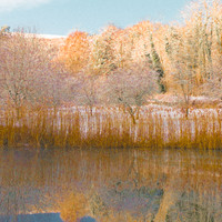 Saisons filantes