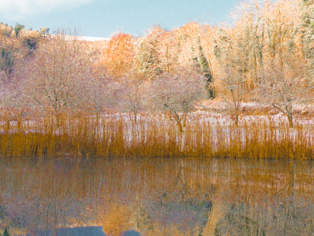 Saisons filantes