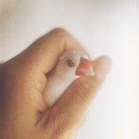 Grasping Water