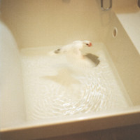Grasping Water