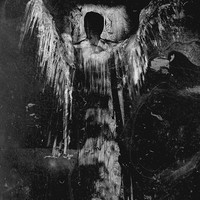 Presence