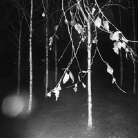 Untitled Spaces