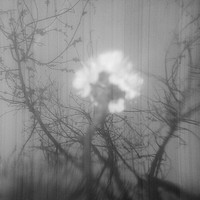 Untitled Spaces