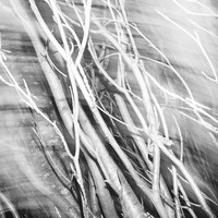 Untitled Spaces
