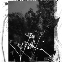Untitled Spaces
