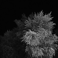 Untitled Spaces