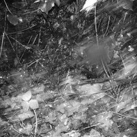 Untitled Spaces
