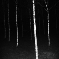 Untitled Spaces