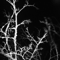 Untitled Spaces