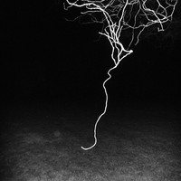 Untitled Spaces