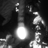 Untitled Spaces