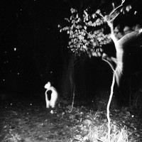 Untitled Spaces
