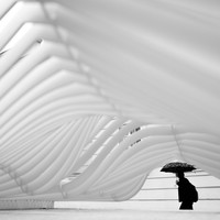 Wave