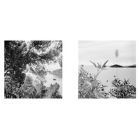 Two Islands: Ærø, Elba