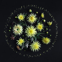 Botany