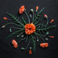 Botany