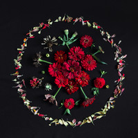 Botany