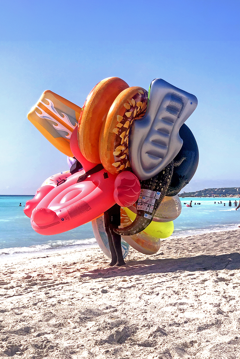 A seaside creature.