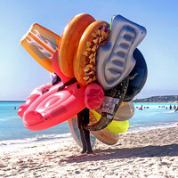 A seaside creature.