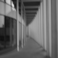 illusion of motion