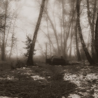 The territory of oblivion