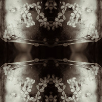 Water memory