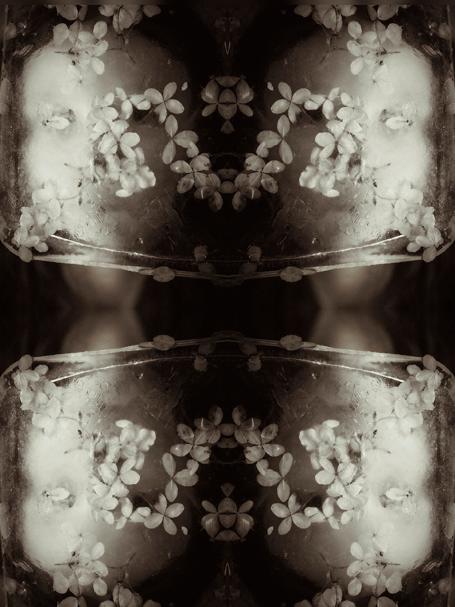 Water memory