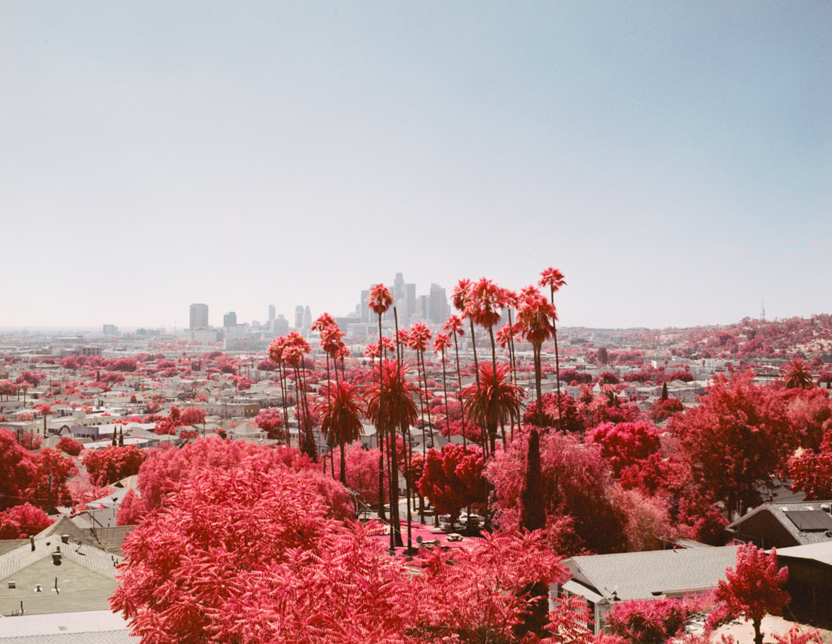 The Palm, On Piru