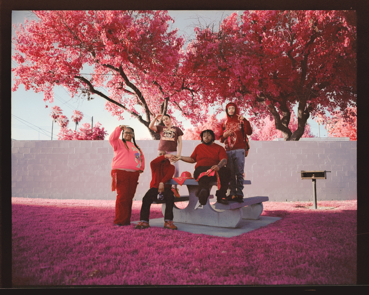 The Palm, On Piru