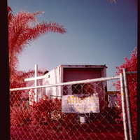 The Palm, On Piru