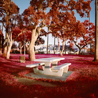 The Palm, On Piru