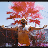 The Palm, On Piru
