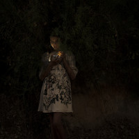 Where Fireflies Unfold