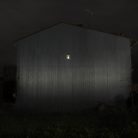 Where Fireflies Unfold