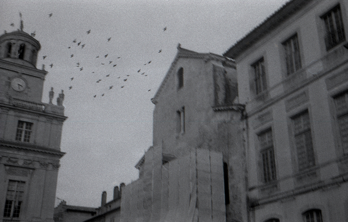Vestiges