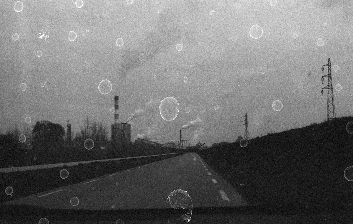 Vestiges