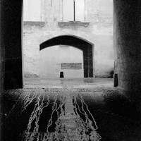 Vestiges