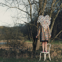 In the Woods