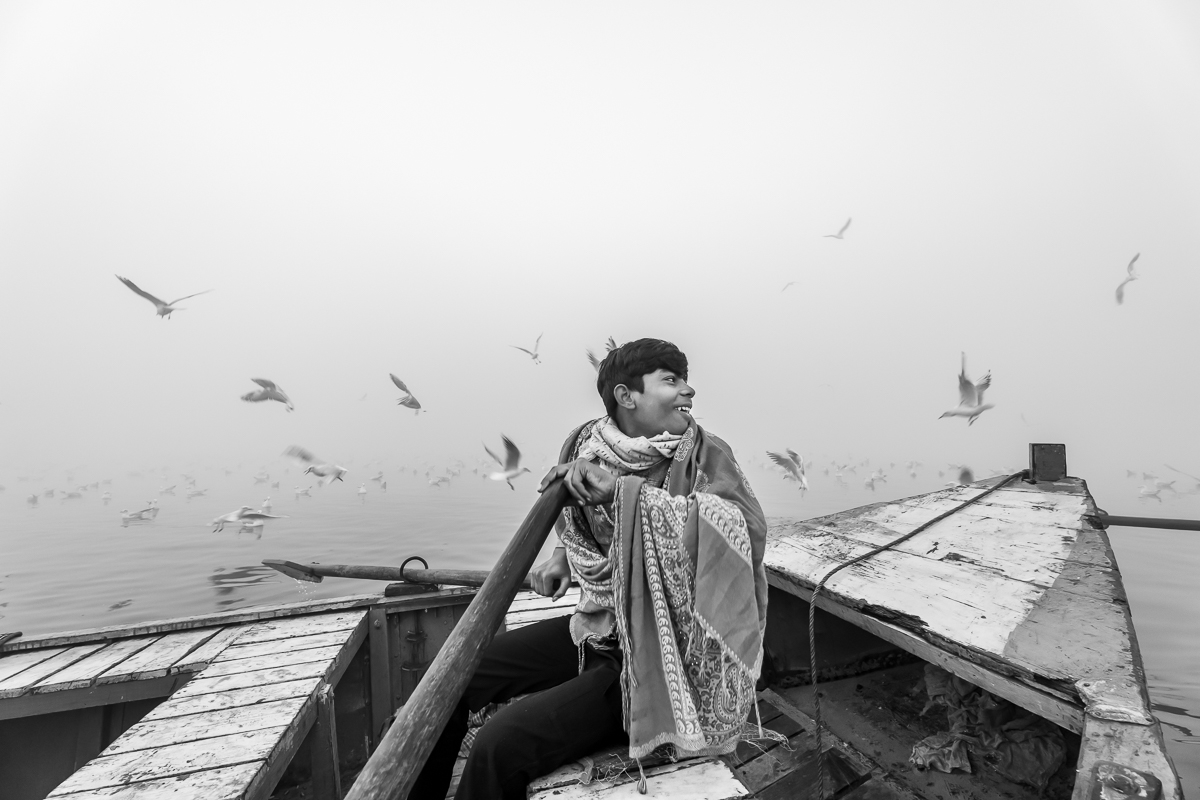 Among the Birds
