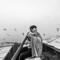 Among the Birds