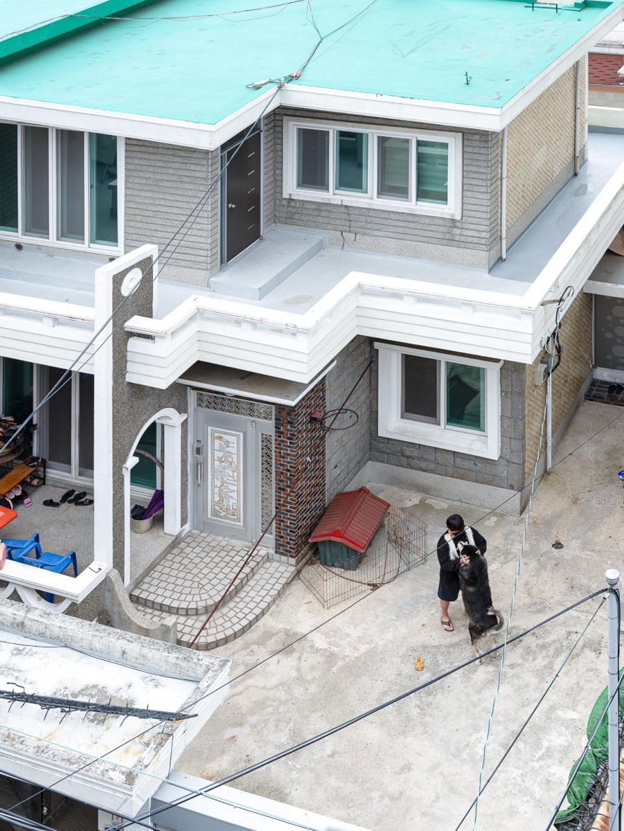 Modern House