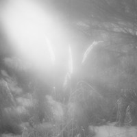 Beyond winter