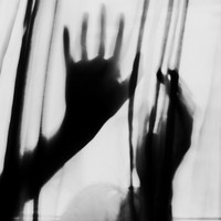 Between Bodies