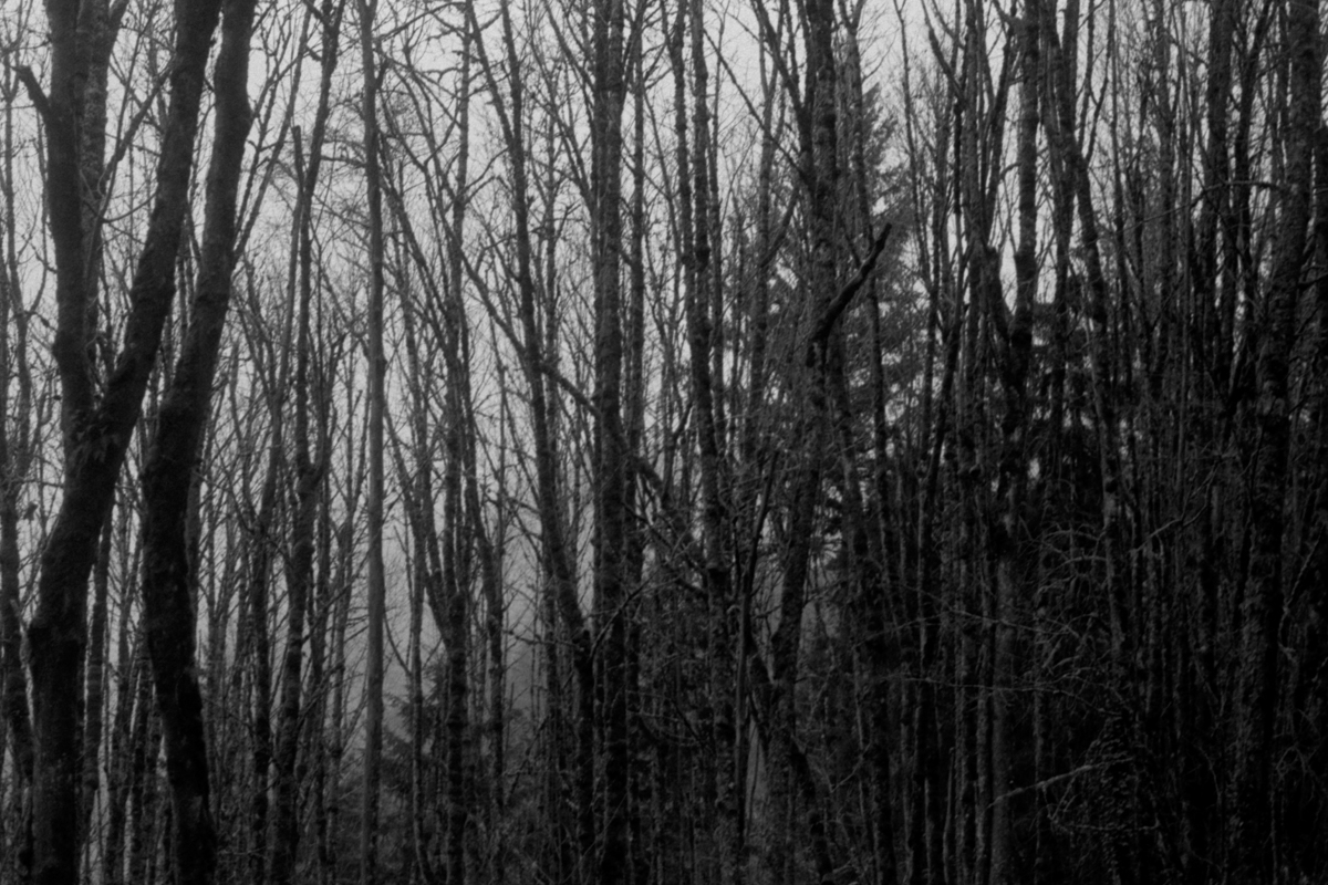 The Places I (Long To) Go