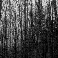 The Places I (Long To) Go