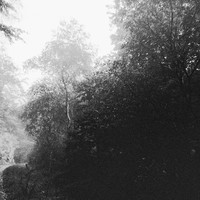 The Slow Drift of Ordinary Days